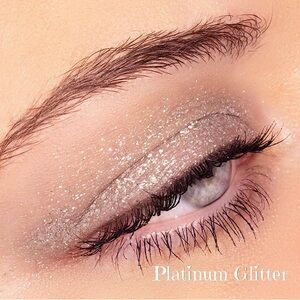 Shadowsense Platinum Glitter NEW Silver Multicolored Cream to Powder Eyeshadow